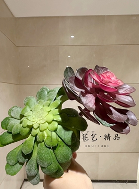 仿真多肉植物可搭配枯木枯山水造景爬宠缸景观壁挂盆栽宝石莲花