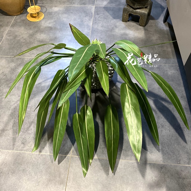 仿真水蕉叶芭蕉叶长条线形叶子绿叶子草丛绿化造景假树橱窗陈列