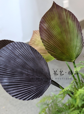 彩色蒲葵叶插花大叶子热带景观棕榈叶仿真树叶扇葵叶插花造景美陈
