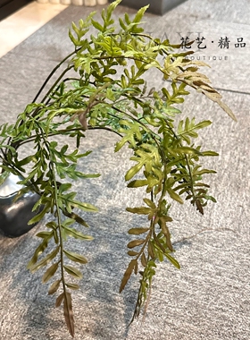 仿真蕨草波斯草草波士顿蕨铁线莲蕨叶植物花卉藤蔓蕨装饰摆件造景
