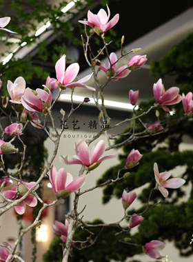 仿真玉兰花定制大树室内装饰花卉粉色花朵客厅办公室摆件