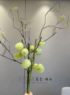 仿真花材摄影道具野刺球果
