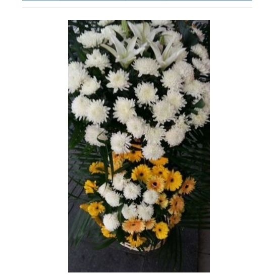 东兴市国贸中心东兴口岸北投互市浙江商业城鲜花店速递白事花圈清
