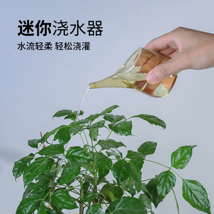 日本迷你浇花壶多肉植物洒水壶园艺淋水儿童喂鸟水壶加水器160ML