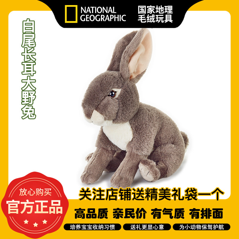 national geographic国家地理长耳兔灰兔网红公仔玩具情人节礼物