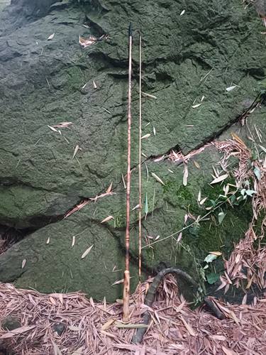 真竹子全竹鱼竿溪流池塘野钓竹鱼竿两米一两本并继竿大漆防腐防水