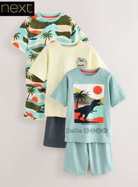 英国Next正品男大童蓝色恐龙椰树T恤短袖家居服睡裤纯棉AM2-797