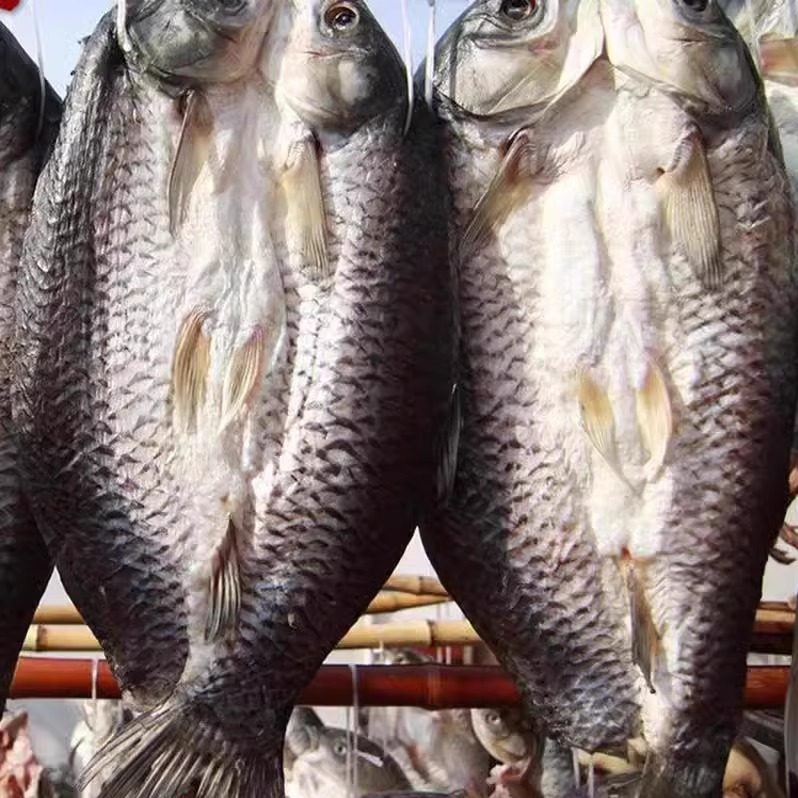 草鱼干整条腊鱼湖北洪湖特产农家自制年货阳干鱼商用送礼顺丰包邮