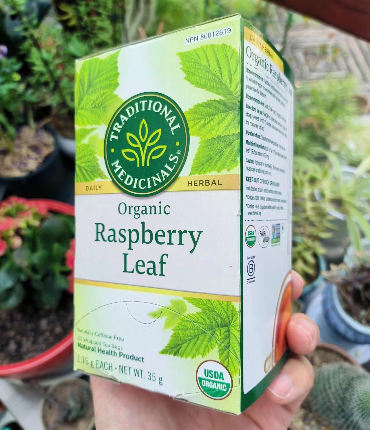 代购 加拿大 traditional medicinals 覆盆子叶茶 20小包 女性