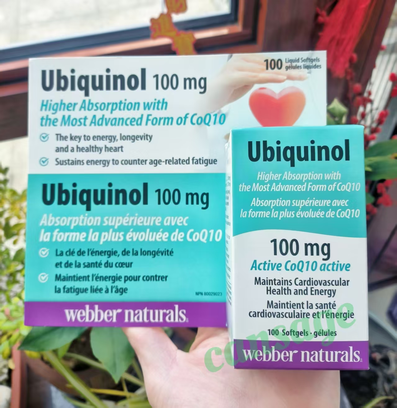 WebberNaturals加拿大辅酶Q10