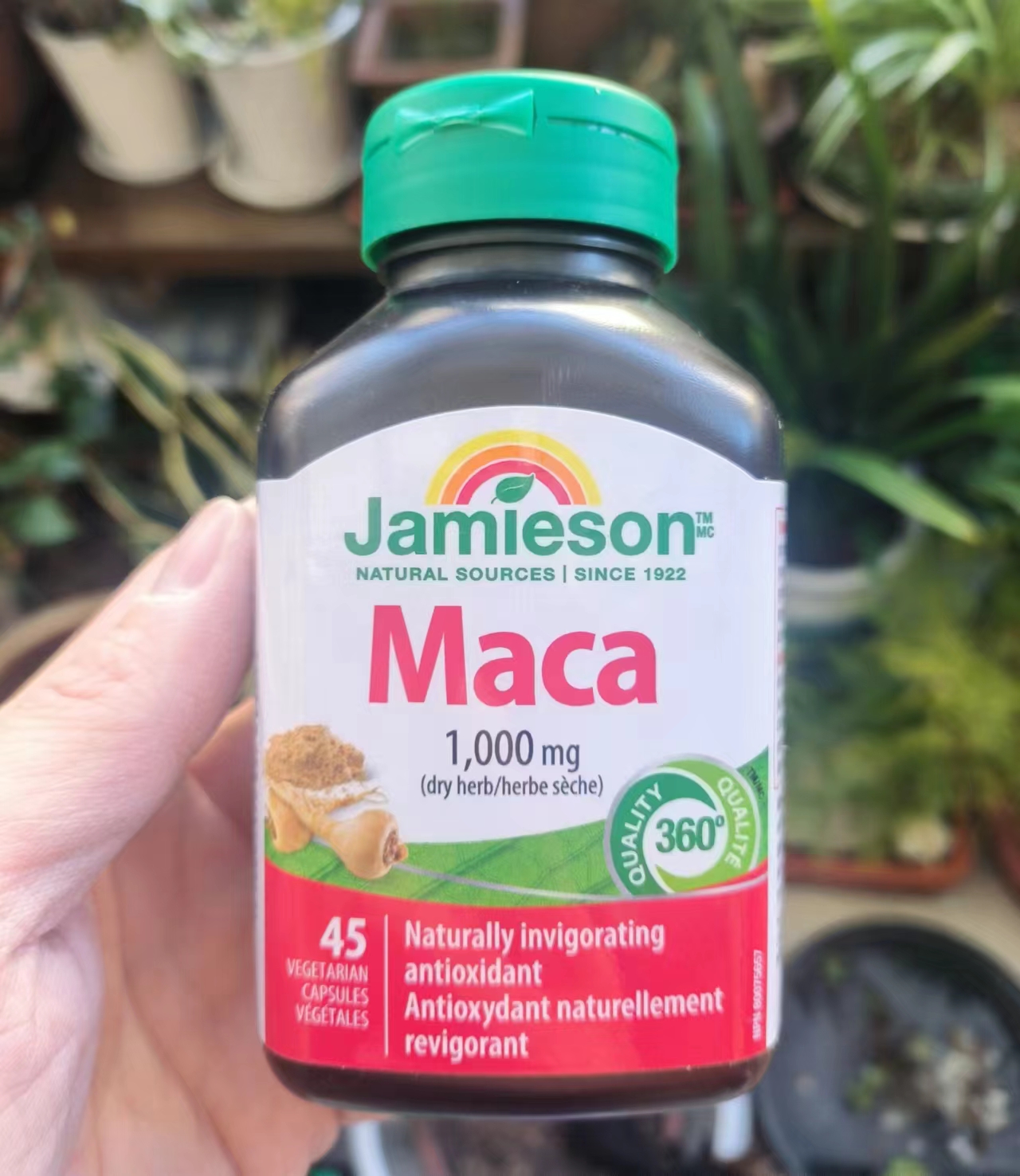 加拿大 Jamieson健美生  Maca玛卡/玛咖胶囊 45粒