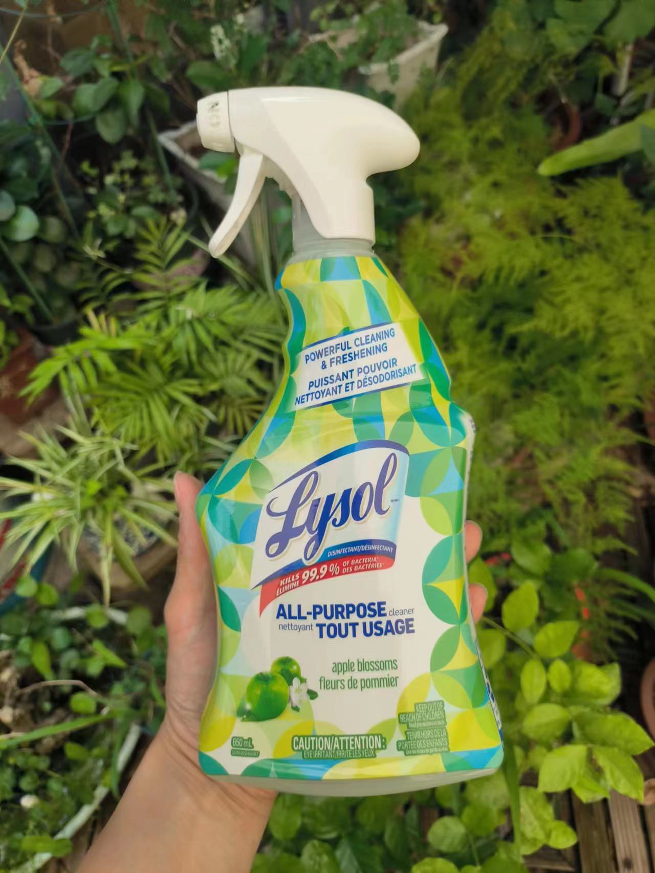 lysol加拿大杀菌消毒清新喷雾