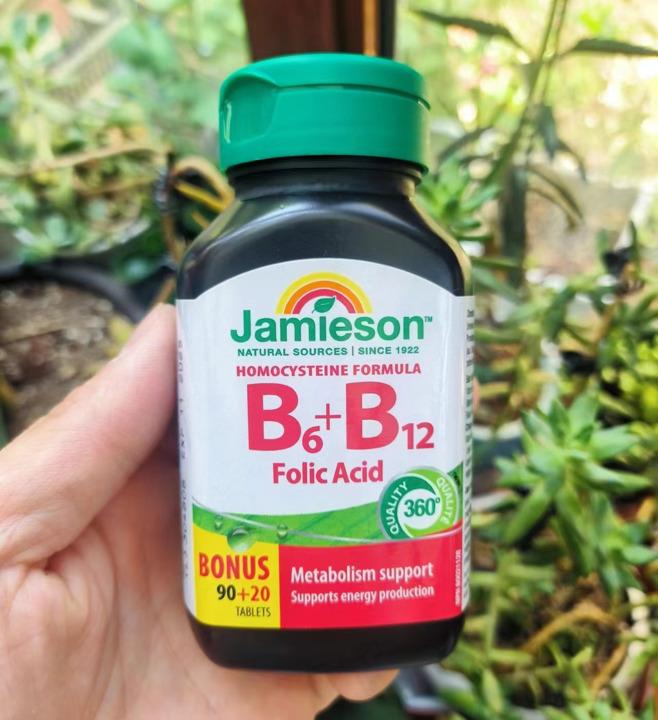 健美生维生素B6+B12+叶酸