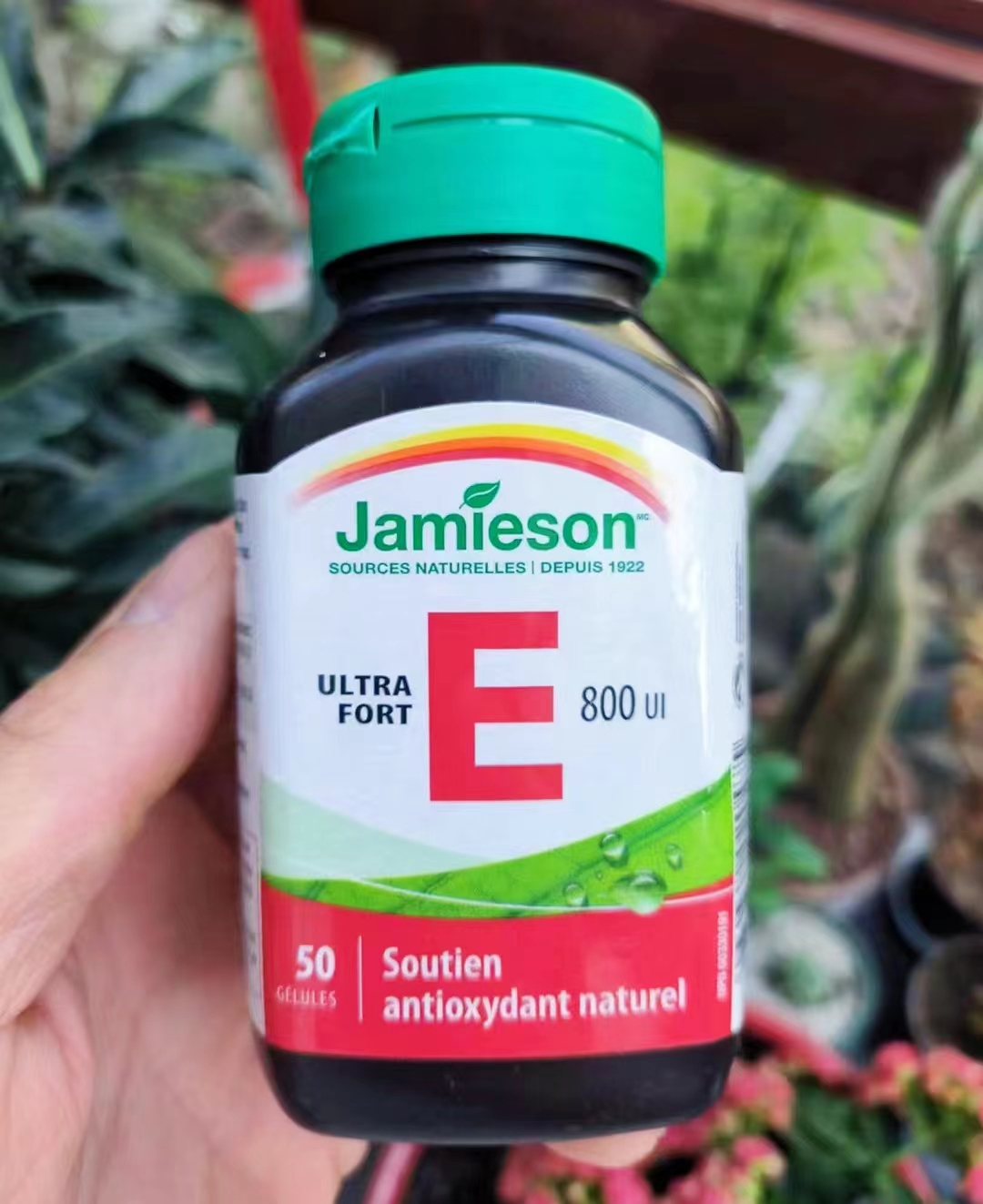 健美生维生素E800IU高含量