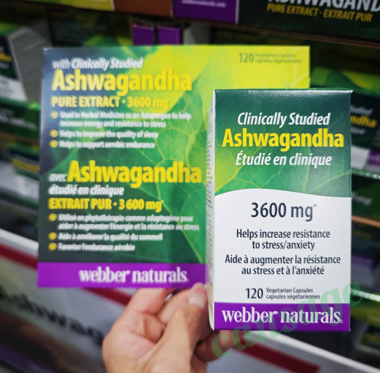 webberNaturalsAshwagandha