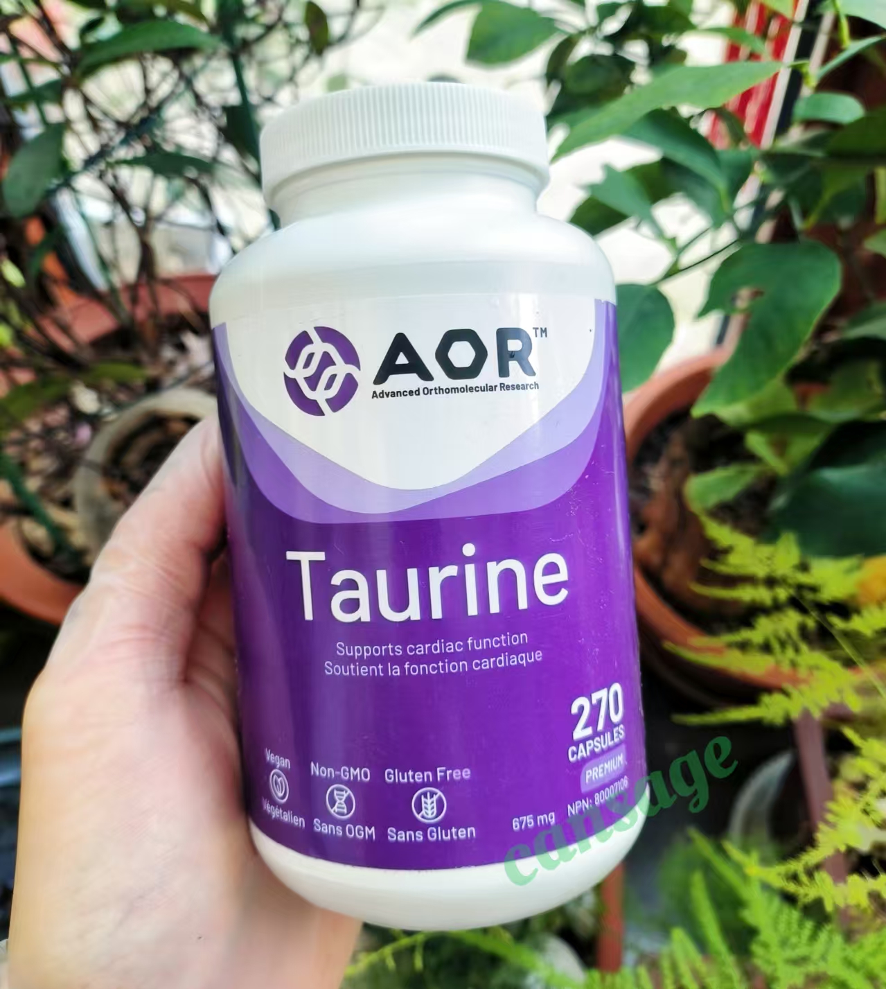 AORTaurine牛磺酸胶囊