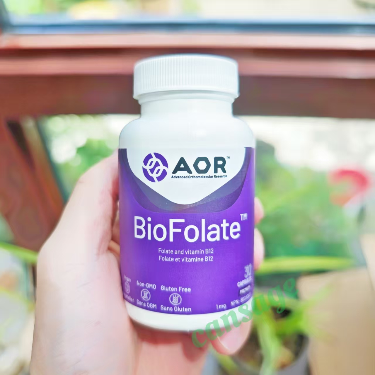 AORBioFolate活性叶酸