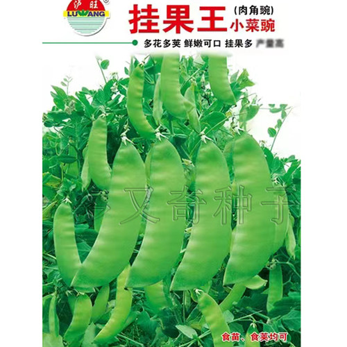 挂果王荷兰豆种子 秋播早熟粉红花小菜碗肉角豌吃荚豌豆蔬菜种子
