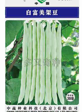 白富美架豆种子 春播绿白扁圆条菜豆四季豆纤维少口感好脆嫩味甜