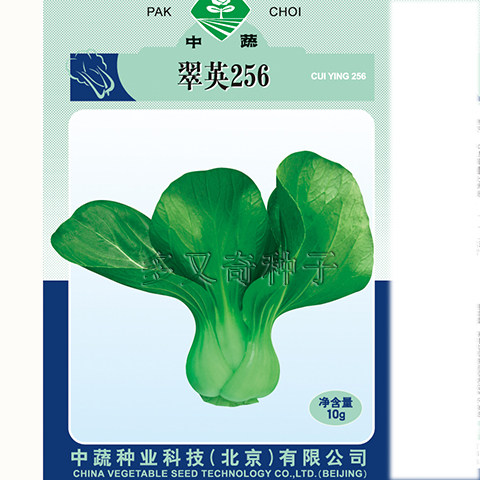 翠英256油菜种子 夏秋耐热早熟青梗菜种子 中蔬小油菜种子蔬菜籽