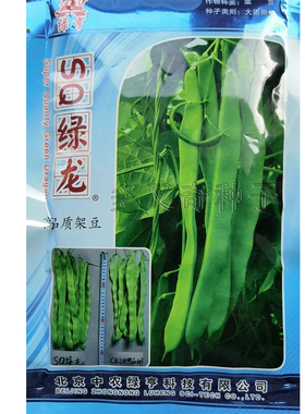 SQ绿龙架豆种子 春秋早熟扁条四季豆菜豆种子鲜绿肉厚嫩糯耐老化