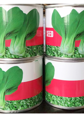 炎玉油菜种子 夏秋耐热耐雨青梗菜种子 叶柄绿肥厚无斑点蔬菜种子