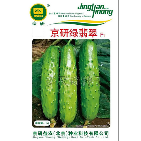 京研绿翡翠黄瓜种子 强雌肉质脆风味浓 春露地栽培旱黄瓜种子 10g