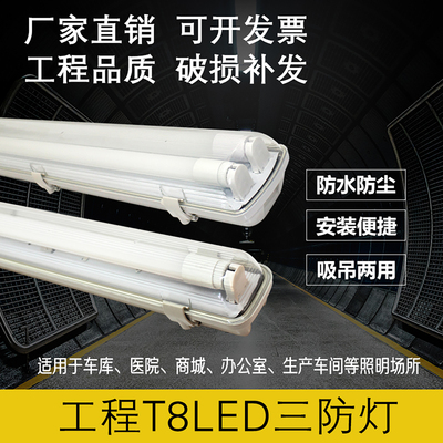 T8双管三防支架防爆led带罩防水