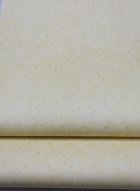 原装进口纯纸壁纸儿童房卧室斑点北欧风家用满铺黄色墙纸现货清仓