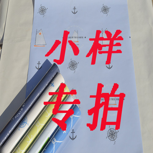 进口现货壁纸特价纯纸PVC等专拍
