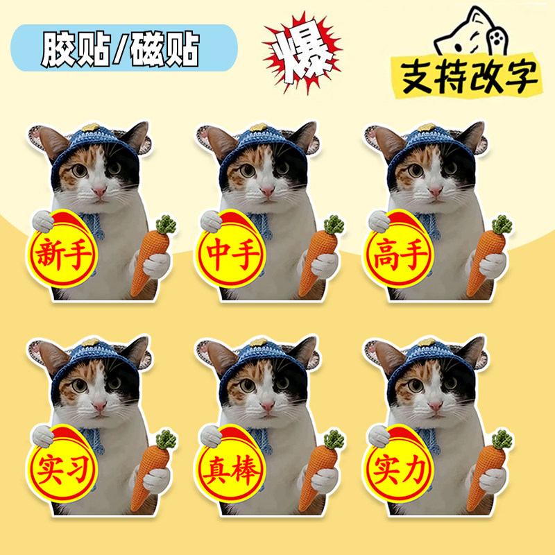 真棒猫实习车贴萝卜纸巾meme猫咪搞笑个性文字表情包创意装饰贴,汽车用品/电子/清洗/改装,汽车装饰贴/反光贴,淘宝优惠券,粉丝福利购,淘宝优惠卷