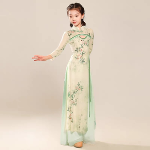 烟雨江南舞蹈服古典舞纱衣中国舞旗袍领套装夜泊秦淮春三月演出服