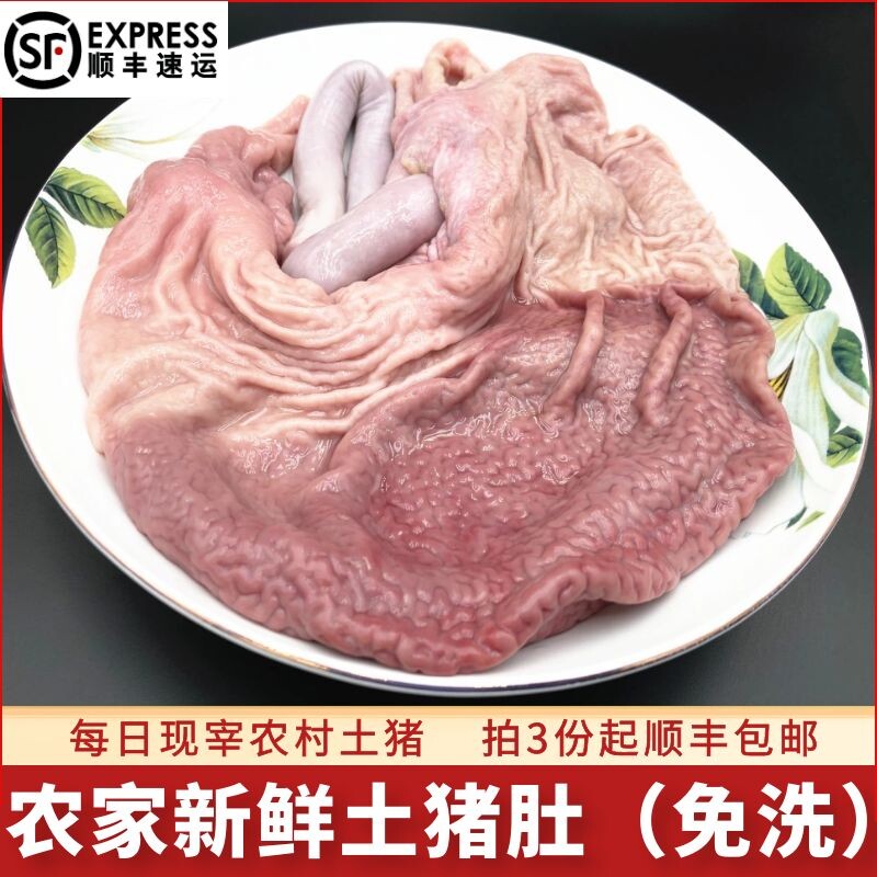 猪肚 新鲜冷冻包邮500g农家免洗鲜猪肚猪胃猪大肠土猪肉拍3份免邮