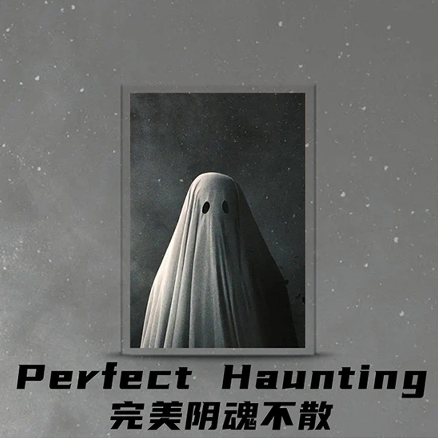 完美阴魂不散PerfectHaunting