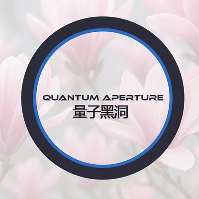 量子黑洞视觉化牌洞转移