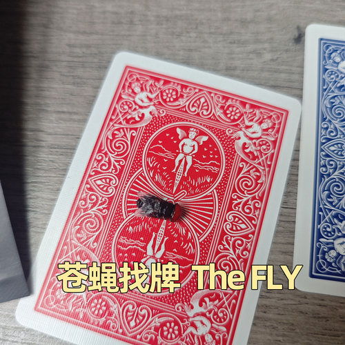 苍蝇找牌互动喜剧魔术道具