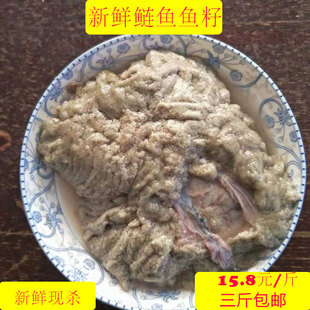 新鲜鱼籽鱼杂鲢子鱼现杀食用鲜活鱼籽三斤包邮