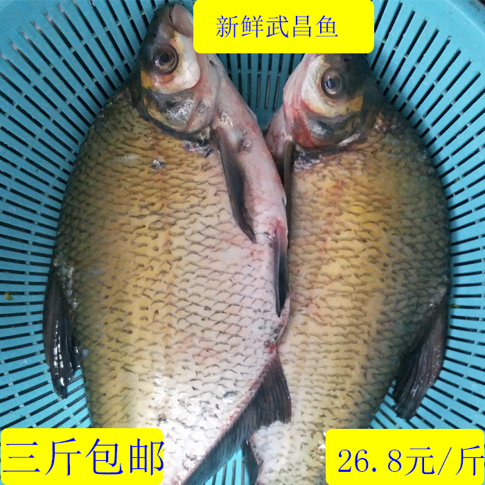 新鲜武昌鱼淡水鱼鲜活鳊鱼扁鱼新鲜丹江口直发,水产肉类/新鲜蔬果/熟食,淡水鱼类,淘宝优惠券,粉丝福利购,淘宝优惠卷
