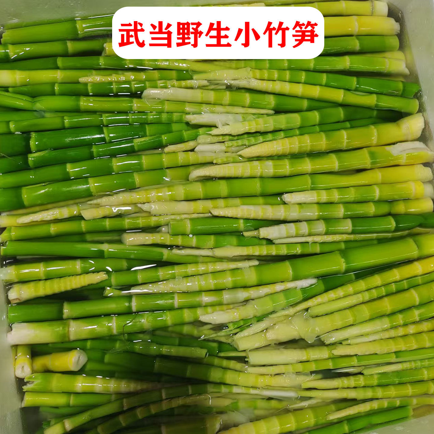 野生小竹笋新鲜现挖食用农产品脆嫩甜竹笋野笋尖当季蔬菜嫩笋尖