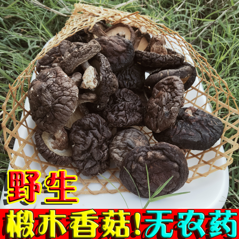 香菇干货野生椴木菌种散装花菇脆冬菇煲汤香茹农家自采小蘑菇特产 粮油调味/速食/干货/烘焙 香菇类 原图主图