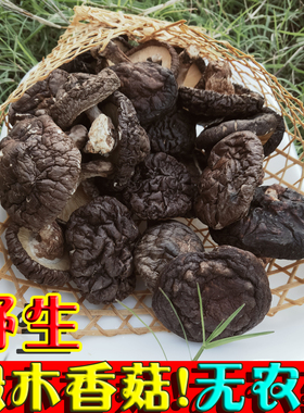 香菇干货野生椴木菌种散装花菇脆冬菇煲汤香茹农家自采小蘑菇特产