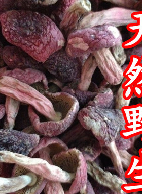 福建三明特产红菇天然野生武夷山精选红蘑菇正宗 稀有大菇蕾100克
