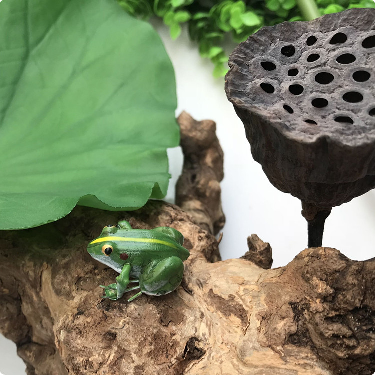 仿真动物昆虫模型青蛙蛤蟆泥塑艺术品书房客厅造境摆件磁性冰箱贴