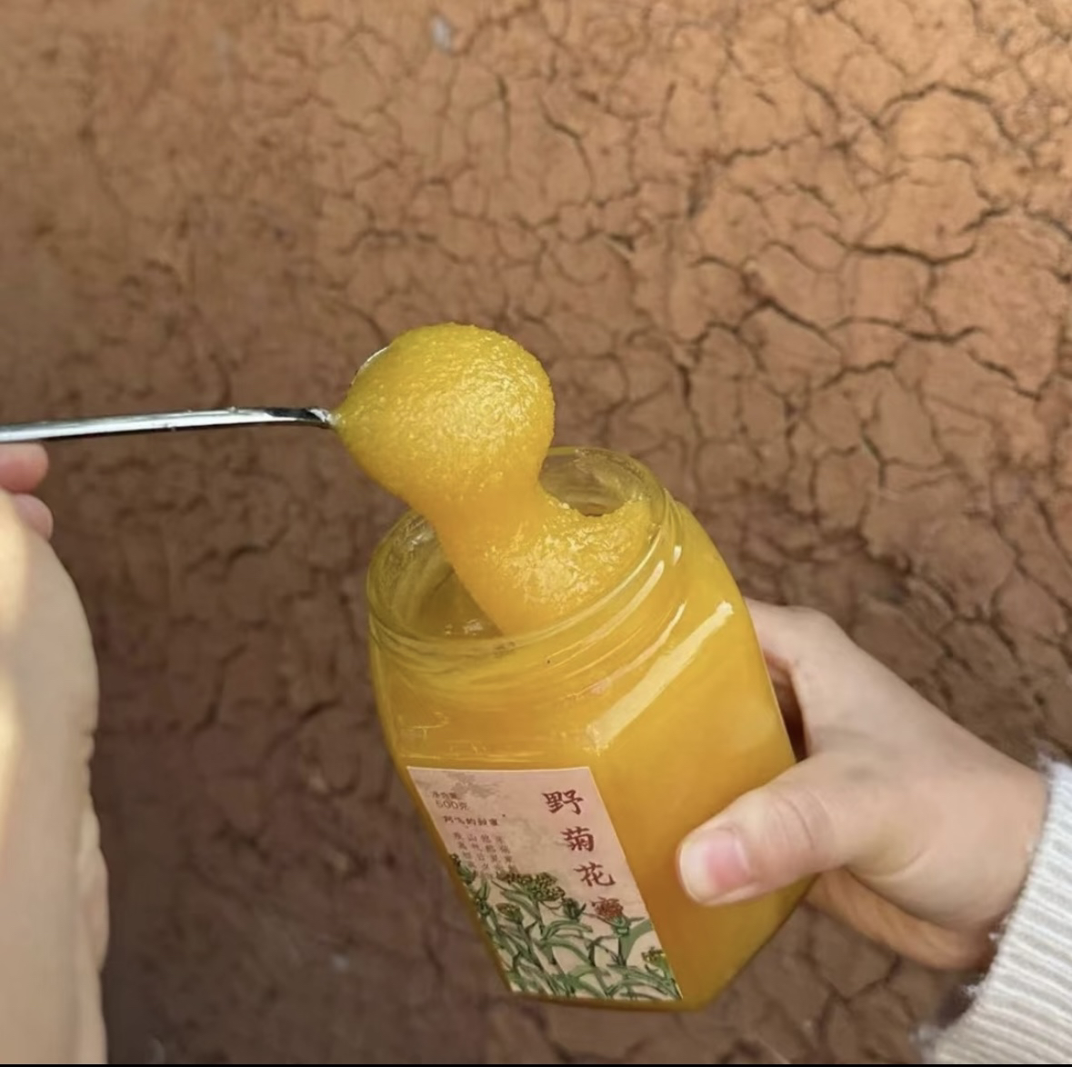 【新野菊花蜜】金黄色菊花香|粗大颗粒结晶|生蜂蜜原蜜|不喂糖