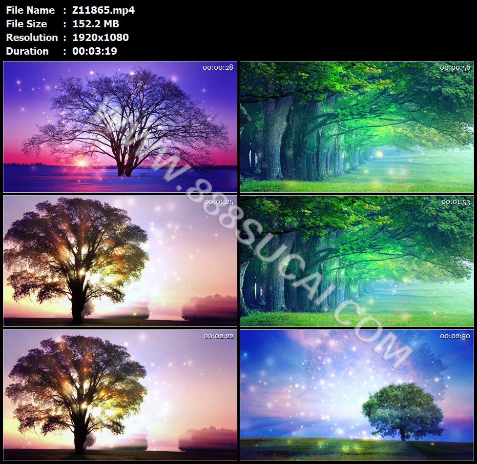 舒婷致橡树朗读朗诵背景致橡树树木年会晚会led视频素材