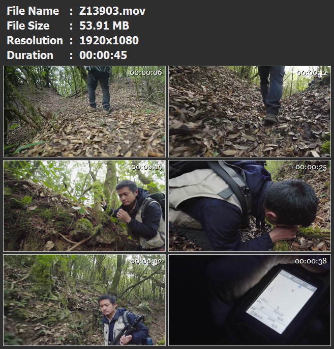 大山森林探险背影脚步特写跋山涉水高清视频素材