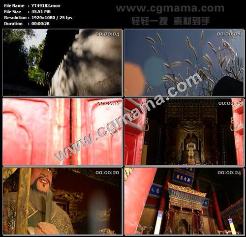 大树剪影小鸟孔庙孔子儒家文化高清实拍视频素材
