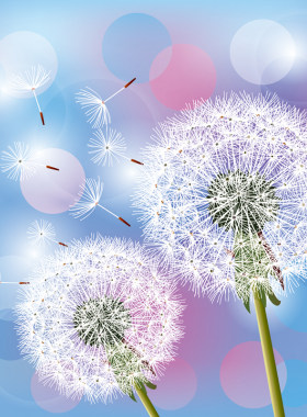 清新蒲公英花卉风景手工5d钻石画