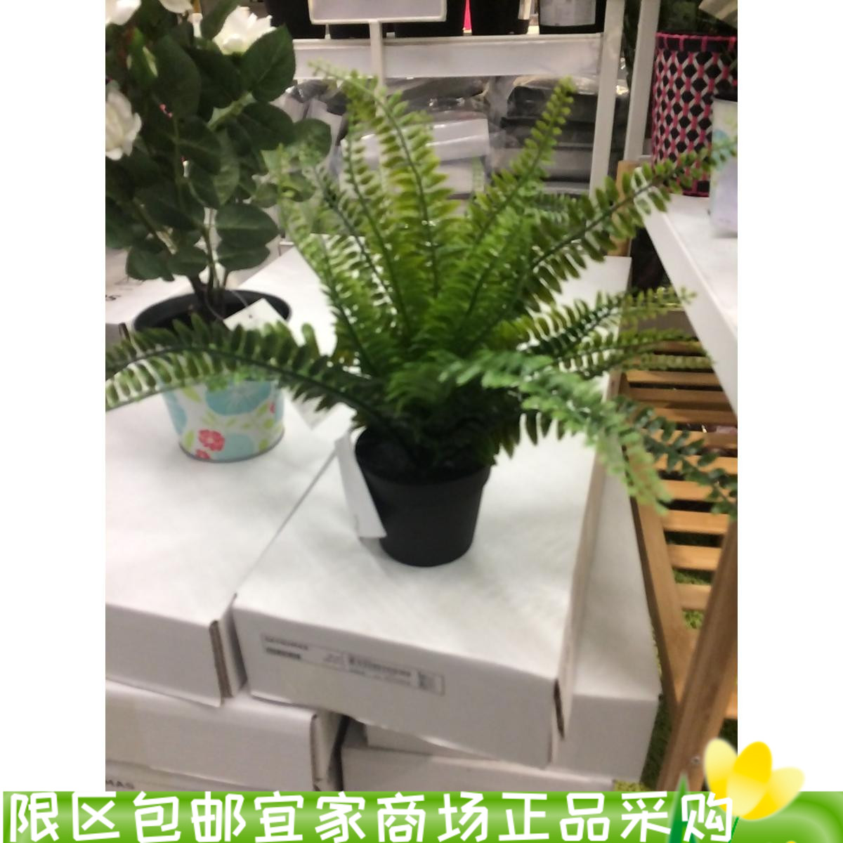 上海IKEA宜家菲卡 人造盆栽植物 34厘米 蕨类植物国内代购