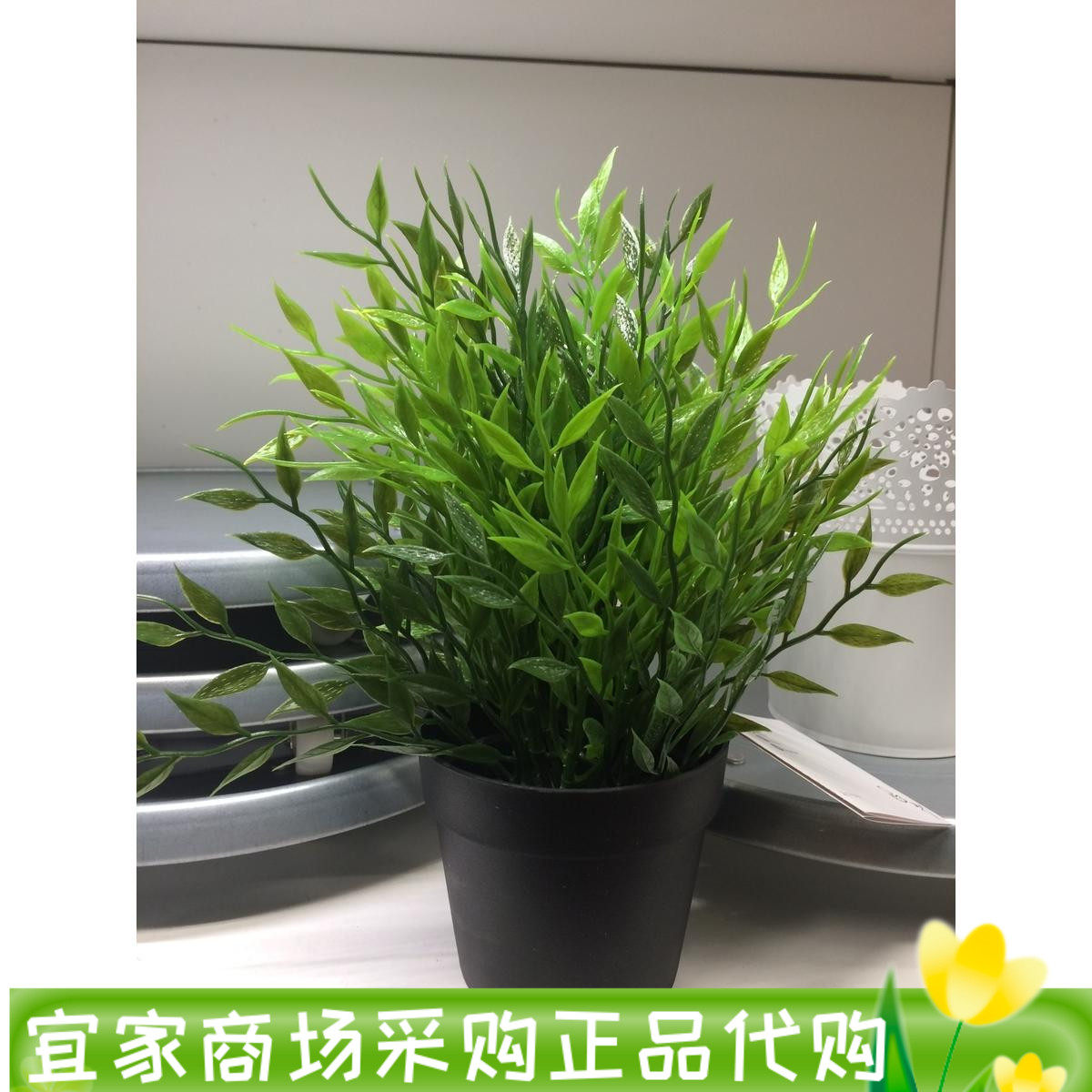 上海IKEA宜家菲卡 人造盆栽植物 28厘米 文竹国内代购